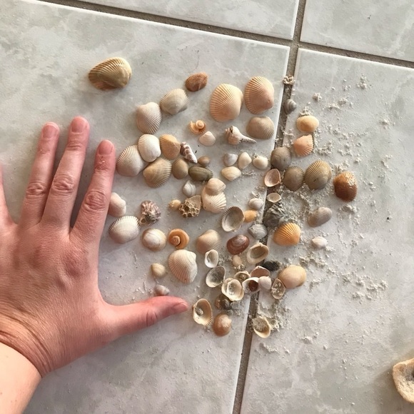 Custom shell bundle — PLEASE READ - Picture 3 of 16